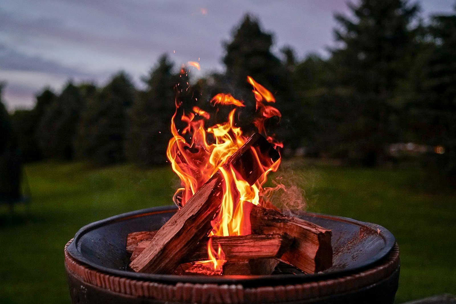 Fire pit burning in a garden surrounded by trees