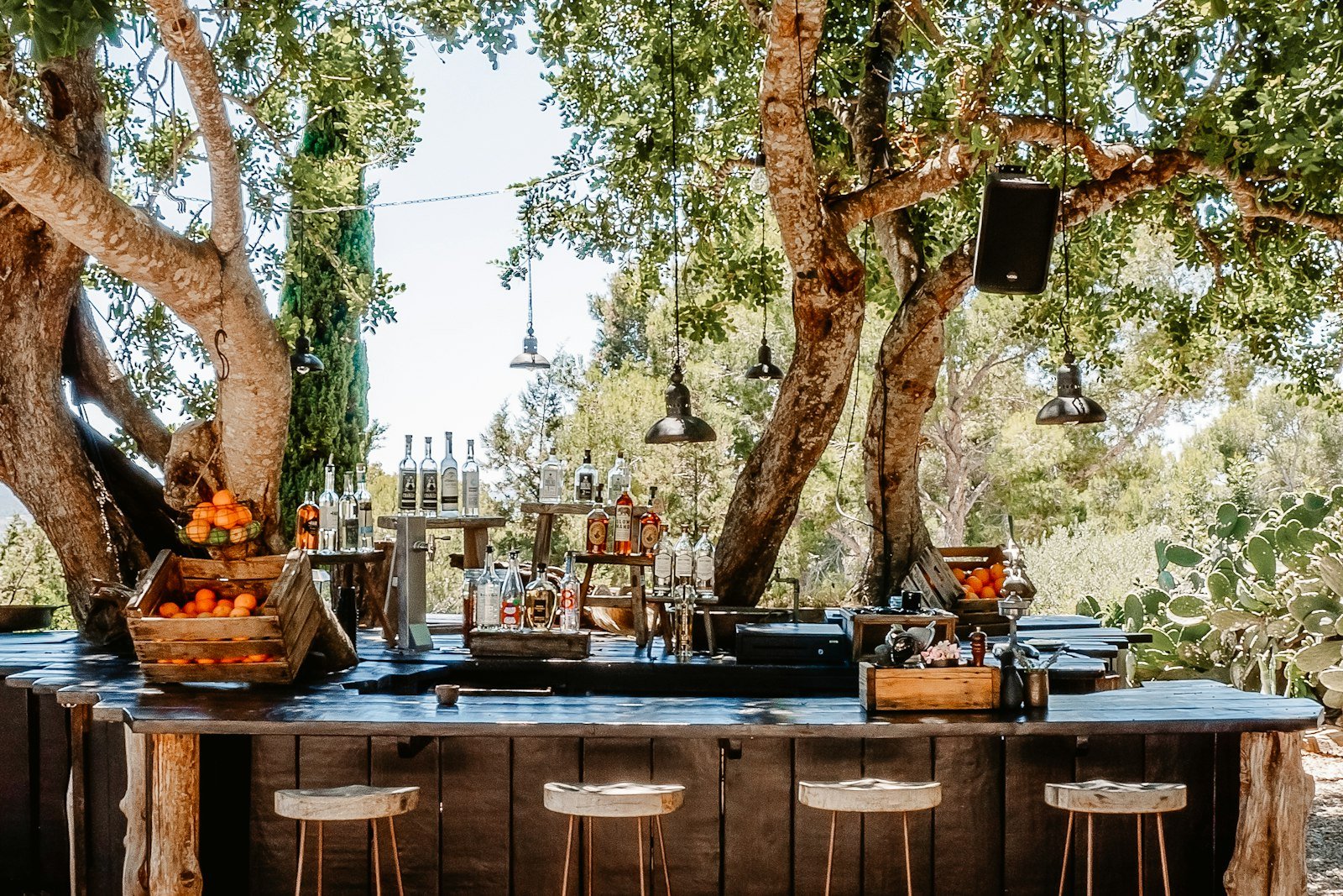 Covered outdoor dining area set among mature trees