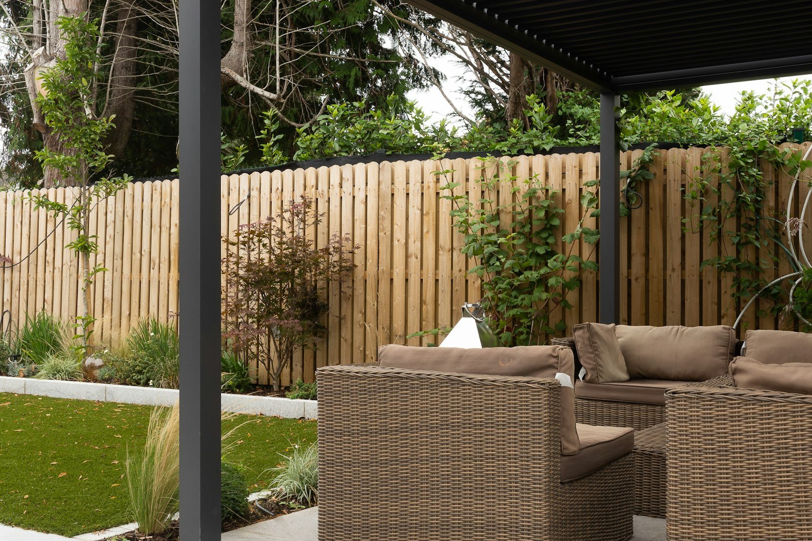 Pergola shading an outdoor lounge beside a timber fence