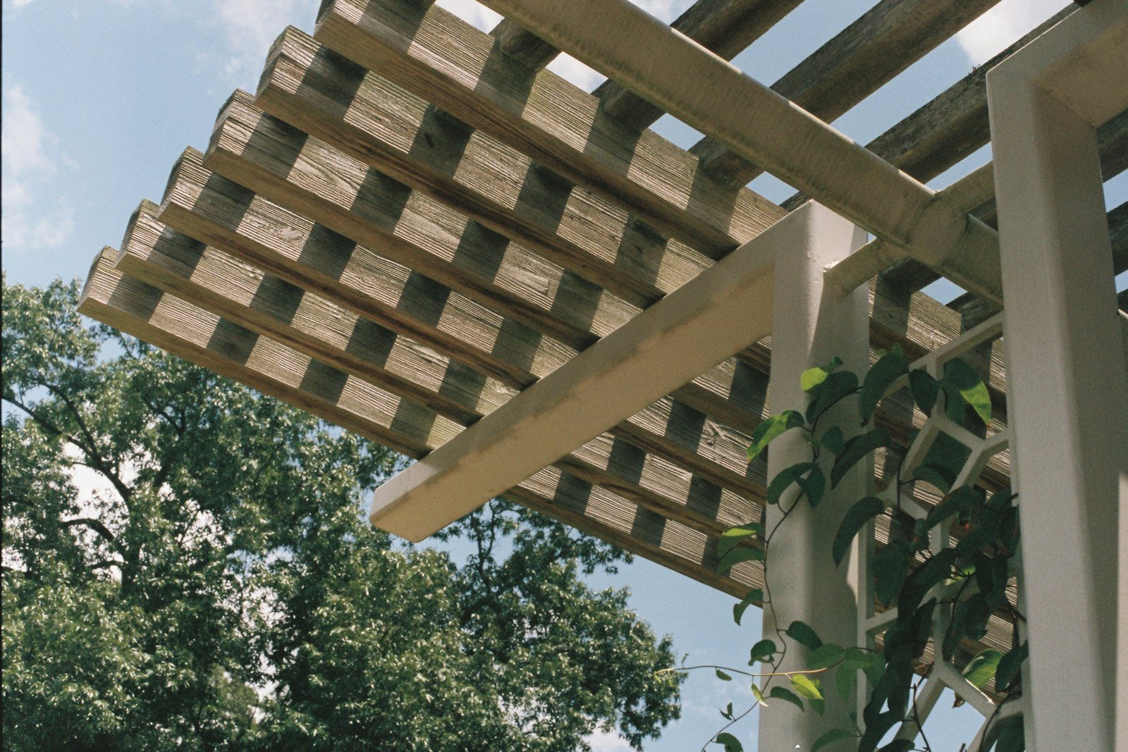 Underside of a slatted pergola roof against the sky